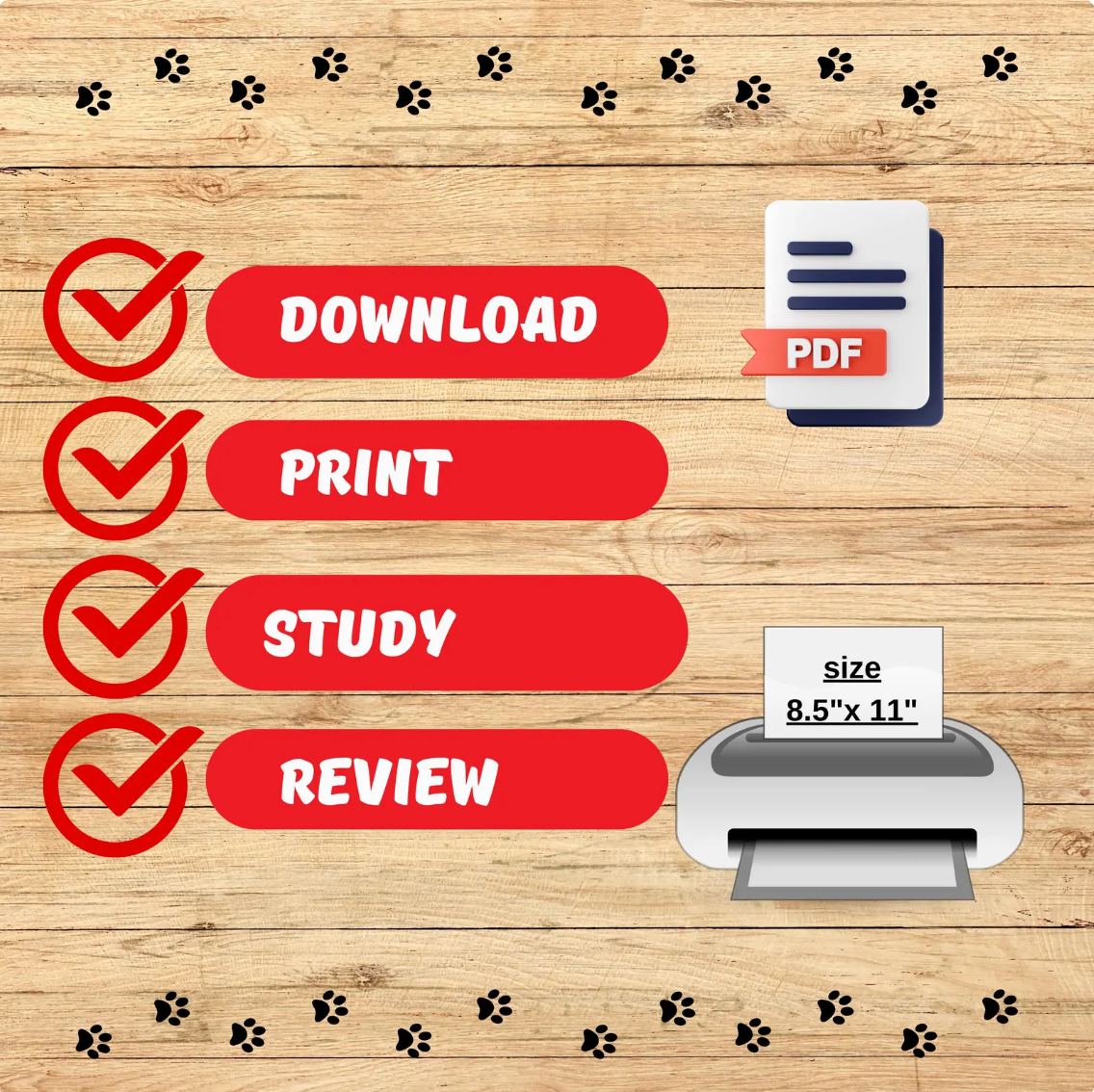 French Foundations – 30-Day Starter Program